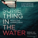 Something in the Water – Im Sog des Verbrechens