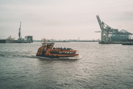 Hamburg Hafen Fähre König der Löwen